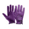 Buy Sport Style Gloves for Stable Horse Riding in 6 Colors