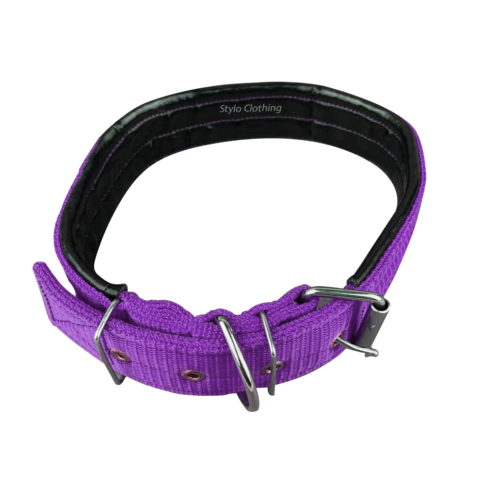 Durable nylon pet collar, adjustable for a perfect fit, top choice for dog owners and wholesale suppliers.