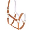 Adjustable Horse Halters, made from neoprene and soft faux fur Faux fur-lined adjustable horse halters crafted from neoprene, providing comfort and durability, perfect for bulk purchases from Stylo Clothing.