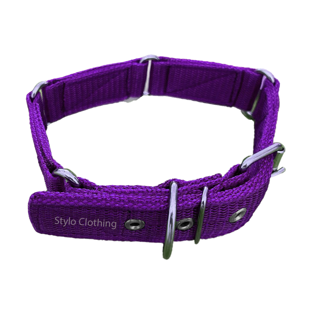 Stylo Clothing Durable Dog Collar Neckband with Double Nylons Trap - Wholesale Dog Gear