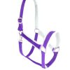 Adjustable Horse Halters, made from neoprene and soft faux fur Premium neoprene horse halters with soft faux fur and adjustable fit, ideal for wholesale buyers from Stylo Clothing.