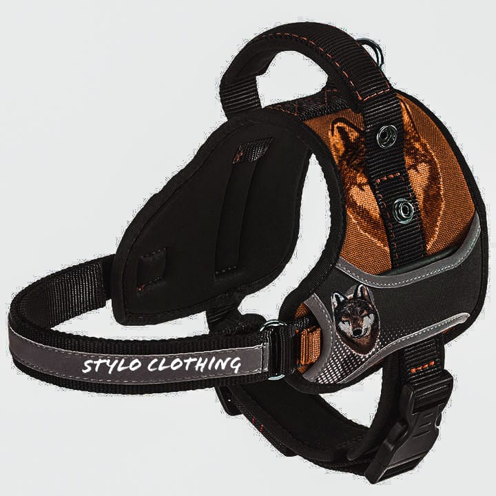 Durable Dog Harness | Sturdy Dog Harness | 20+ Designs