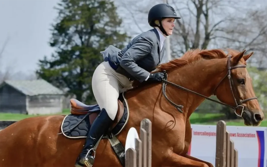 Equestrian Apparel and Accessories Stylo Clothing Wholesale Product Range