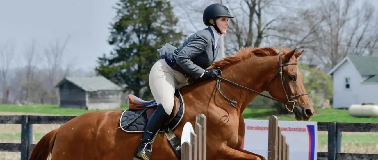 Equestrian Apparel and Accessories Stylo Clothing Wholesale Product Range