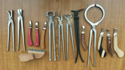 Complete Farrier Tools Kit 18 Pieces Stainless Steel in Bulk