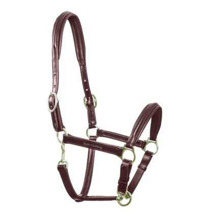 Best Leather Halter for Horse with Padded Head in 4 Designs